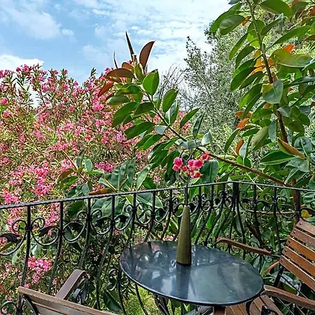 Rosy מלון דירות קוסדסי
